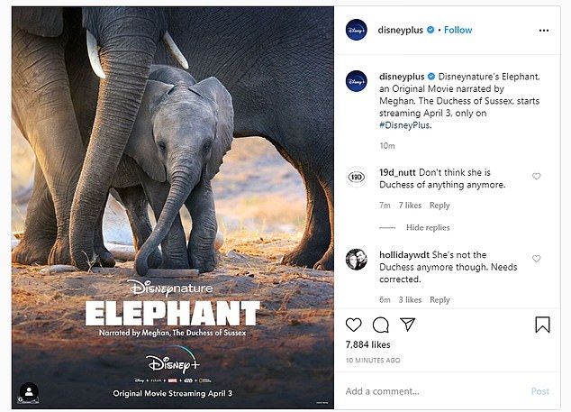 Меган Маркл озвучила документальный фильм про слонов от Disney – премьера через несколько дней