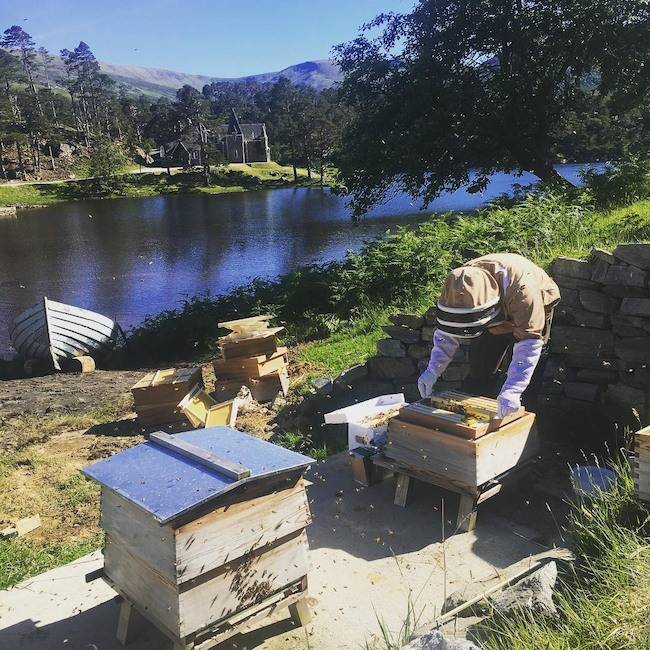 Брат Кейт Миддлтон открыл свой профиль в Instagram и рассказал о своей деревенской жизни