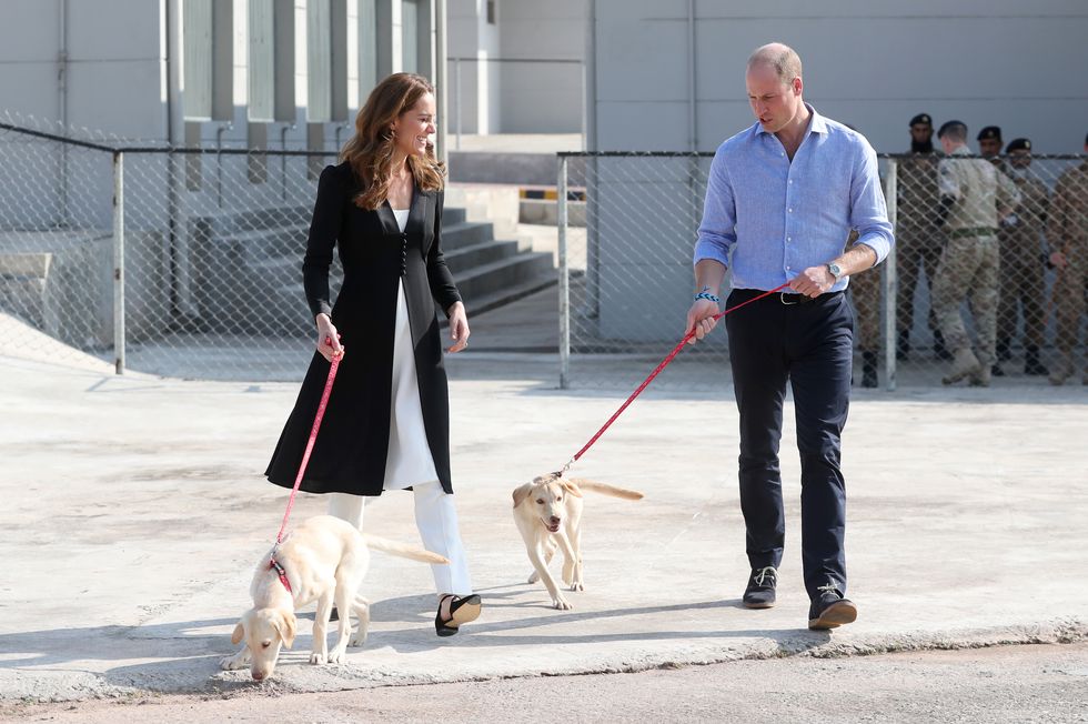 Принц Уильям и Кейт Миддлтон познакомились со щенками в кинологическом центре Army Canine