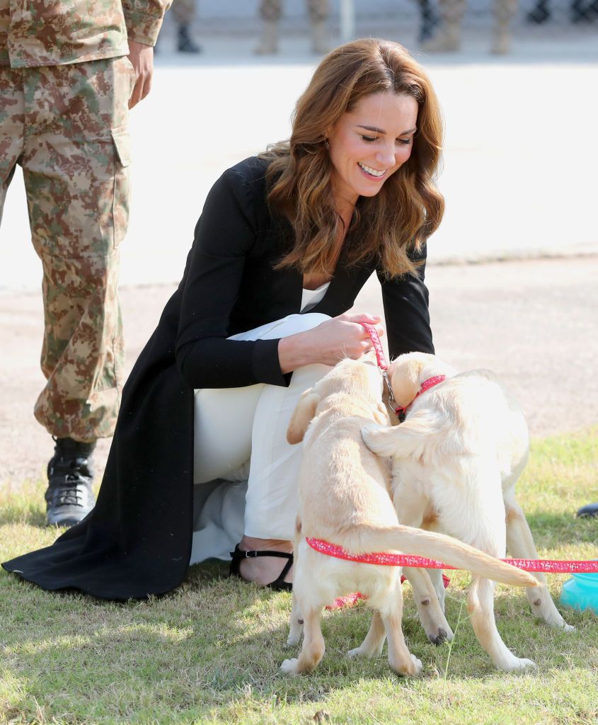 Принц Уильям и Кейт Миддлтон познакомились со щенками в кинологическом центре Army Canine