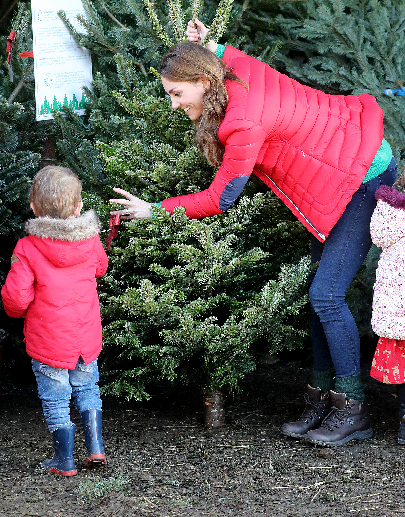 Кейт Миддлтон выбрала рождественские елки на ферме в графстве Бакингемшир