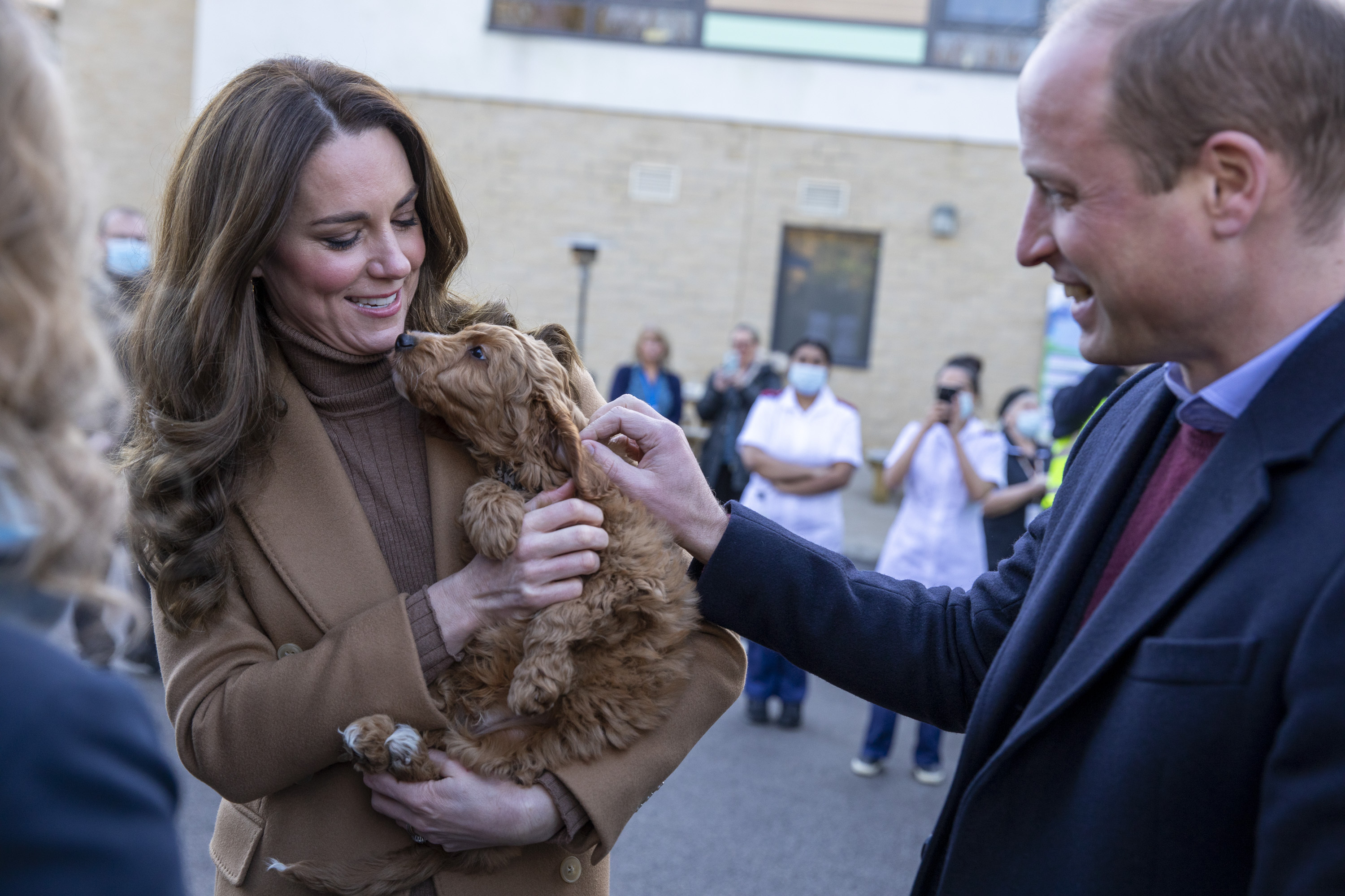 Принц Уильям и Кейт Миддлтон познакомились с персоналом и щенком-сотрудником в больнице Ланкашира