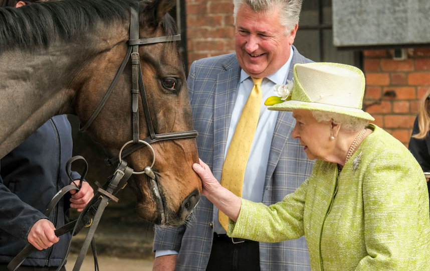 Елизавета II тайно навестила своих лошадей на Виндзорской конной выставке
